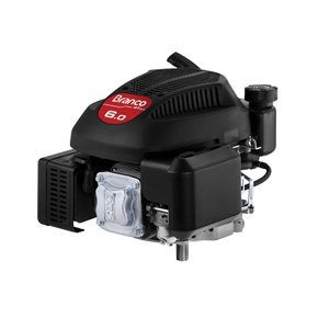 motor estacionarios a gasolina b4t 6 0v g3 branco 001