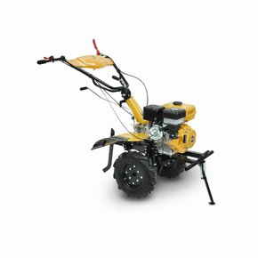 Teste 1950 x 2000 px 1950 x 2000 px